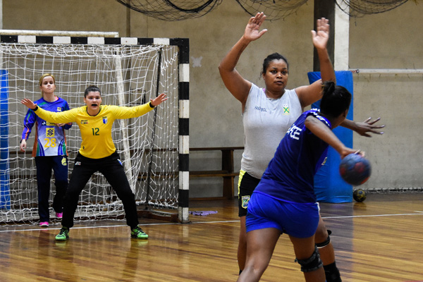 Jogadoras da equipe principal de handebol de Santo André retornaram aos treinos na última segunda-feira de olho no Paulista 2016 (Foto: Beto Gravello/PSA)