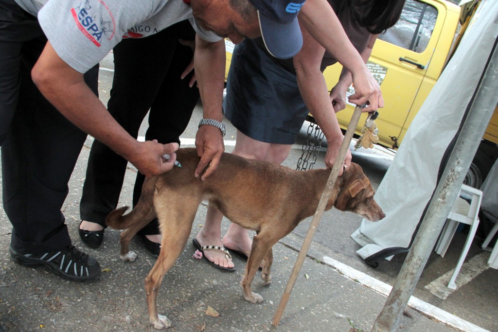 Santo André recebeu mais de 40 mil doses de vacina contra a raíva animal (Foto: Divulgação/PSA)