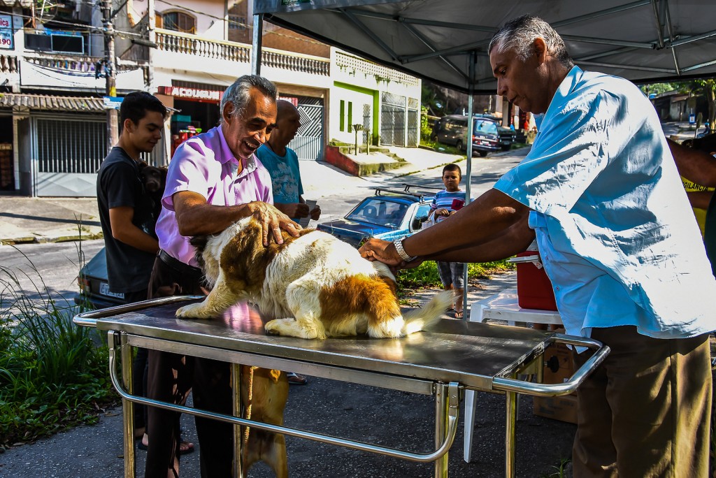 Proprietário ou responsável deve levar carteira de vacinação: doses acima dos três meses (Foto: David Rego Jr./PSA)