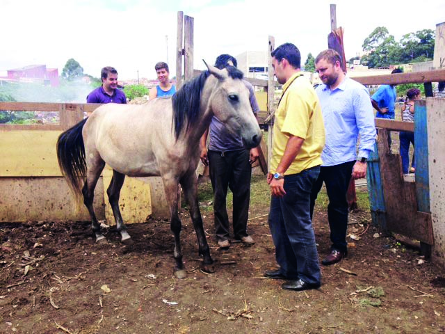 Projeto vai para sanção do prefeito Carlos Grana (Foto: Facebook).