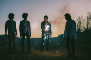 boogarins