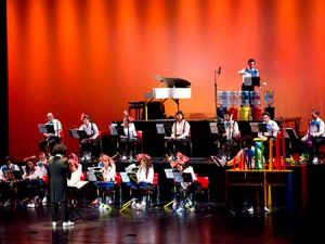 Orquestra tem um timbre diferente (Foto: Divulgação)