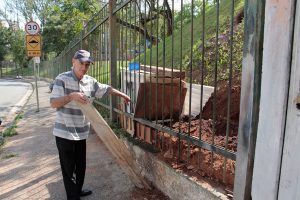 Formigueiro invade casa de moradores (Foto: Pedro Diogo)