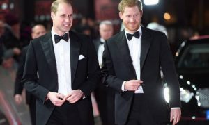 Príncipe William e o irmão, Harry