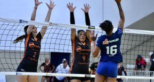 São Caetano / Energis 8 Brasil enfrenta Sesi Bauru no playoff semifinal do Campeonato  Paulista de Vôlei Feminino - ABC Agora