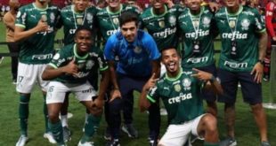 Premiação do Brasileirão: saiba quanto o Palmeiras vai ganhar