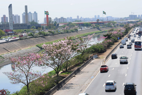 imagem-marginal-tiete-tera-4-mil-arvores-replantada