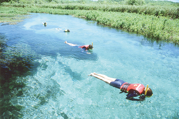 Bonito é paraíso de águas cristalinas